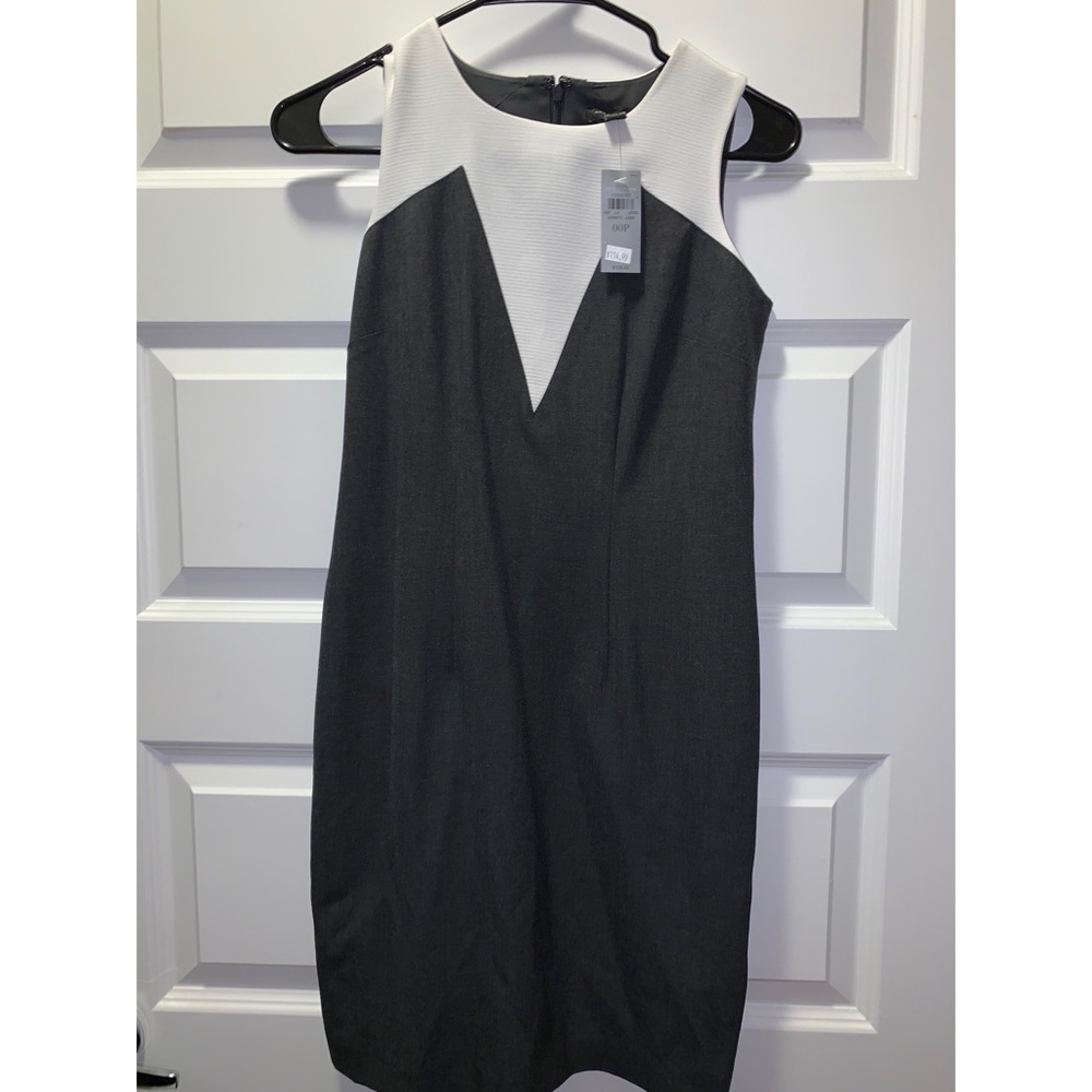 Ann Taylor Dress